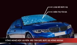 Màu Sắc Độc Đáo